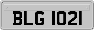BLG1021