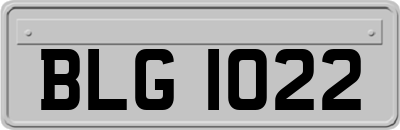 BLG1022