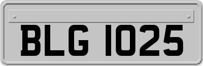 BLG1025