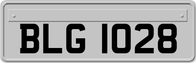 BLG1028