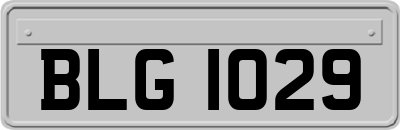 BLG1029