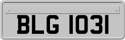 BLG1031