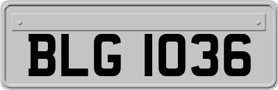 BLG1036