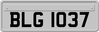 BLG1037