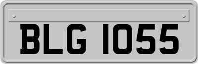 BLG1055
