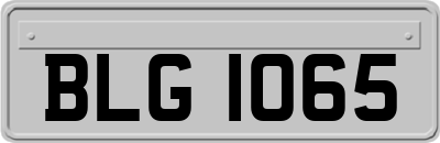 BLG1065