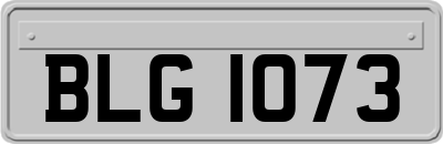 BLG1073