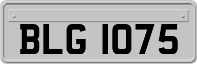 BLG1075