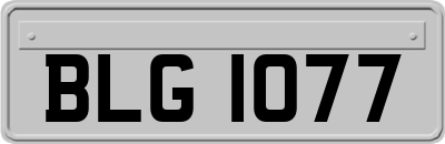 BLG1077