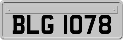 BLG1078