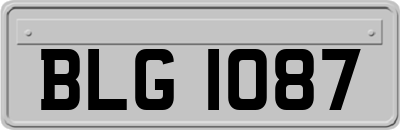 BLG1087