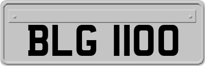 BLG1100