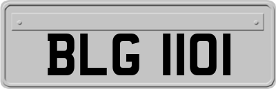 BLG1101