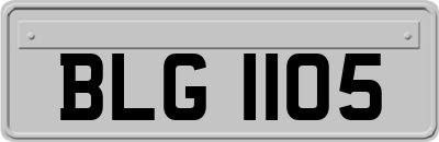 BLG1105
