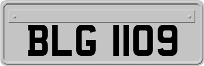 BLG1109