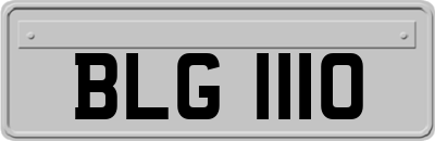 BLG1110
