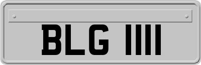 BLG1111