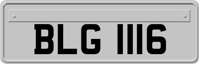 BLG1116