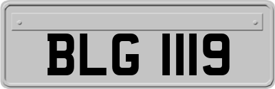 BLG1119