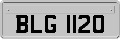 BLG1120