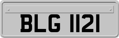BLG1121