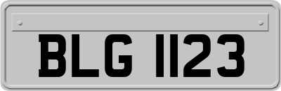 BLG1123