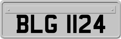 BLG1124