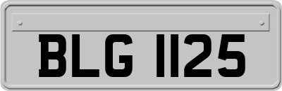 BLG1125