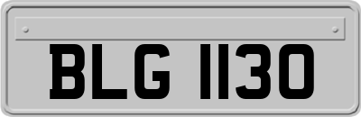 BLG1130