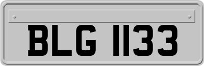 BLG1133
