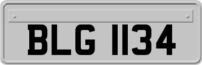 BLG1134