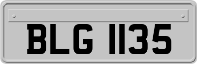 BLG1135