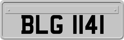 BLG1141