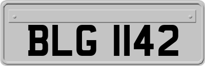 BLG1142