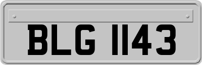 BLG1143