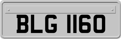 BLG1160