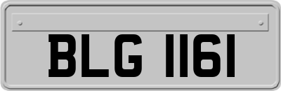 BLG1161