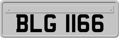BLG1166