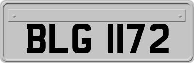 BLG1172