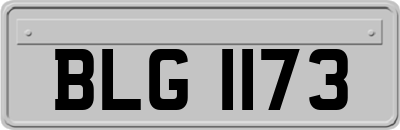 BLG1173