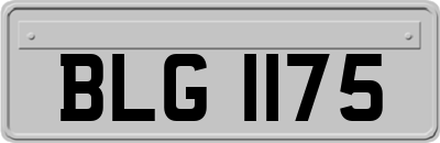 BLG1175
