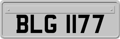 BLG1177