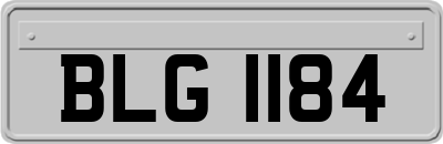 BLG1184