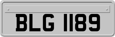 BLG1189