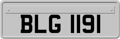 BLG1191