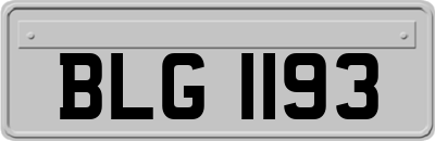 BLG1193