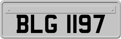 BLG1197