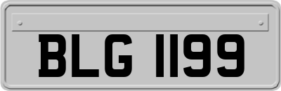 BLG1199