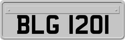 BLG1201