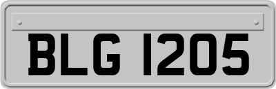BLG1205